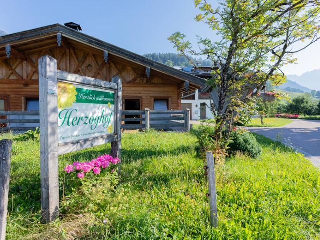 Herzoghof