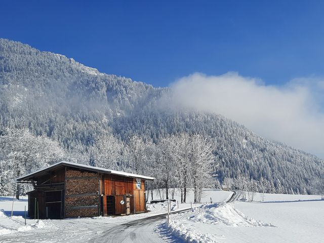 Bergerbauer