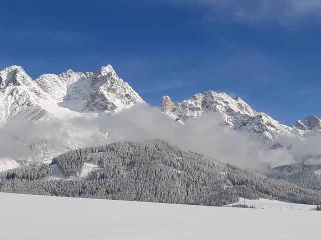 Schönberghof