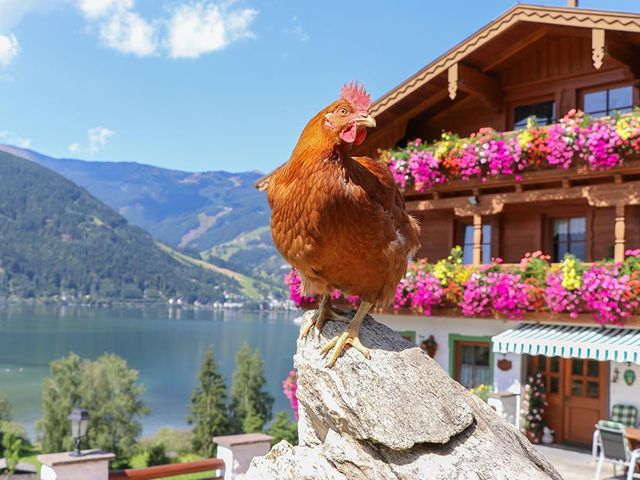 Erlbruckhof