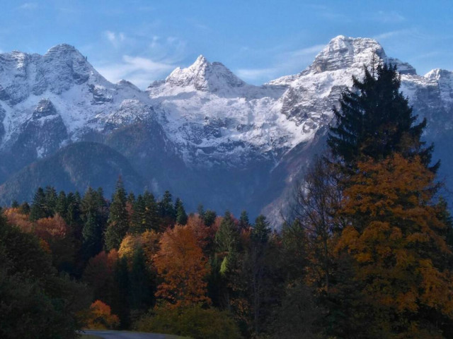 Glatzlbauer