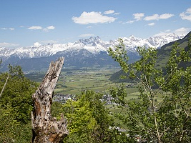 Oberhausbauer