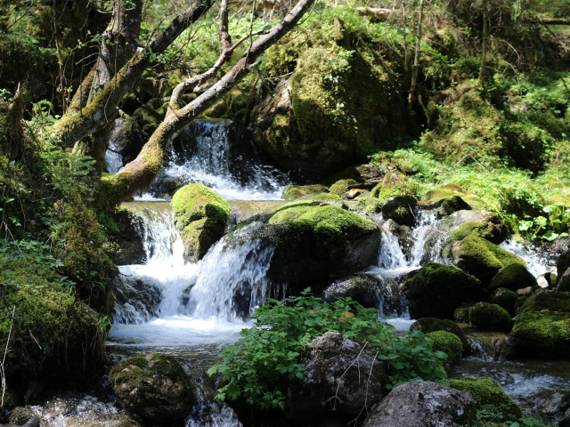 Ferienwohnungen auf dem Lankmannbauernhof