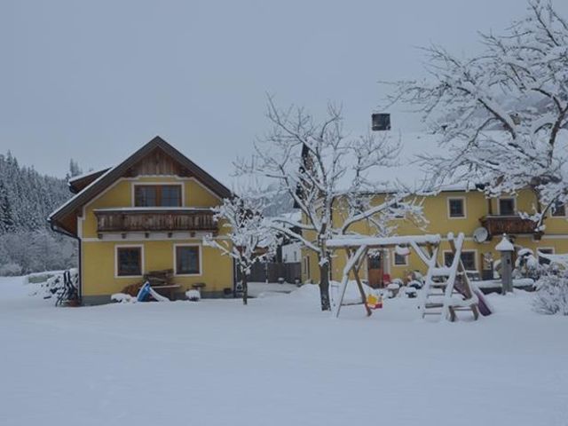 Auenschuster
