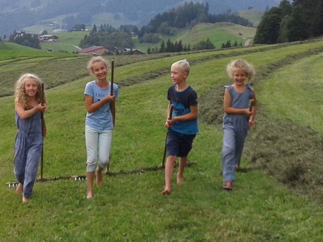 Widholzhof
