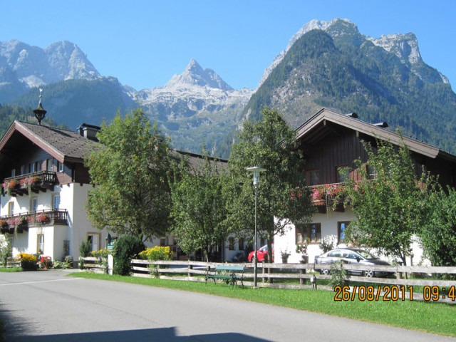 Edergut